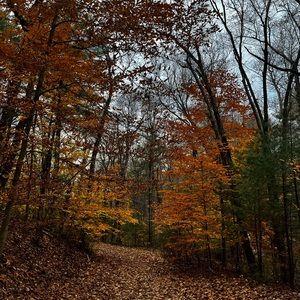 Meet your Posher, Calli